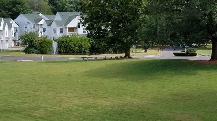 Quality Inn Culpeper Other