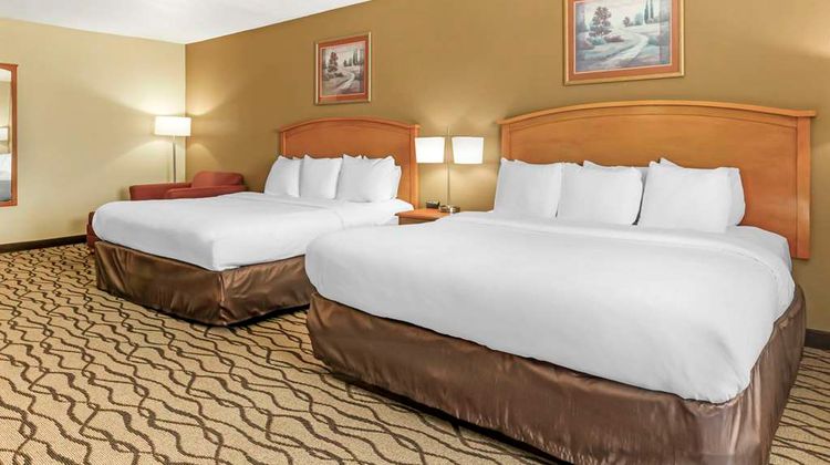 Comfort Inn & Suites Room