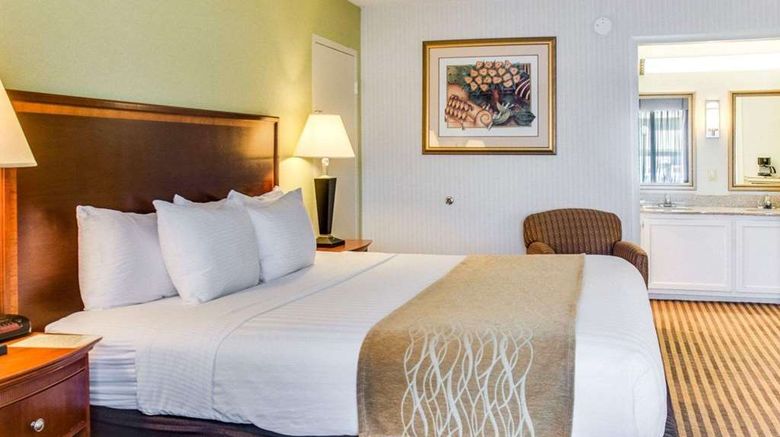 <b>Clarion Inn Fredericksburg North Room</b>. Images powered by <a href="https://iceportal.shijigroup.com/" title="IcePortal" target="_blank">IcePortal</a>.