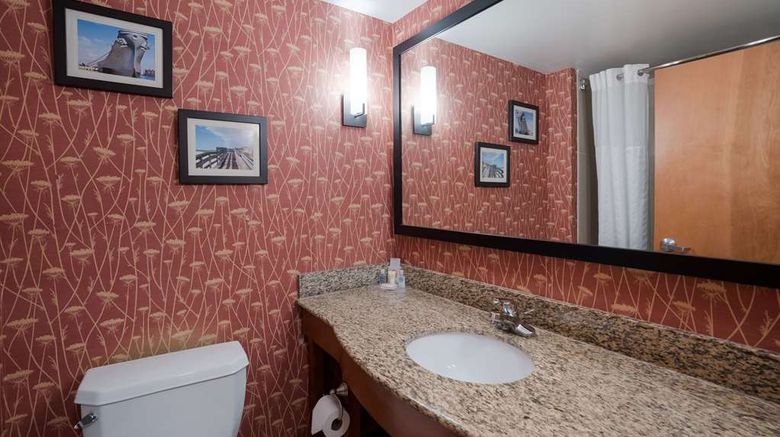<b>Comfort Suites Suffolk-Chesapeake Room</b>. Images powered by <a href="https://iceportal.shijigroup.com/" title="IcePortal" target="_blank">IcePortal</a>.