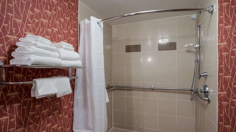 <b>Comfort Suites Suffolk-Chesapeake Room</b>. Images powered by <a href="https://iceportal.shijigroup.com/" title="IcePortal" target="_blank">IcePortal</a>.