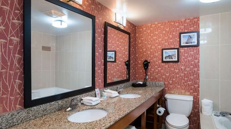 <b>Comfort Suites Suffolk-Chesapeake Room</b>. Images powered by <a href="https://iceportal.shijigroup.com/" title="IcePortal" target="_blank">IcePortal</a>.