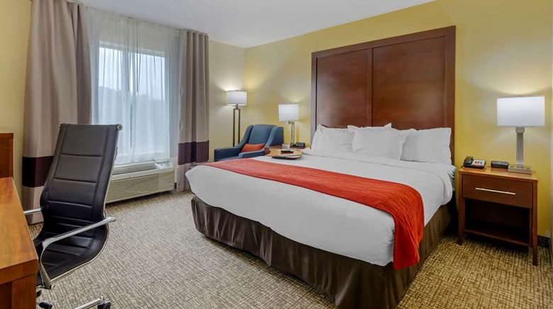 <b>Comfort Inn - Hillsville Room</b>. Images powered by <a href="https://iceportal.shijigroup.com/" title="IcePortal" target="_blank">IcePortal</a>.