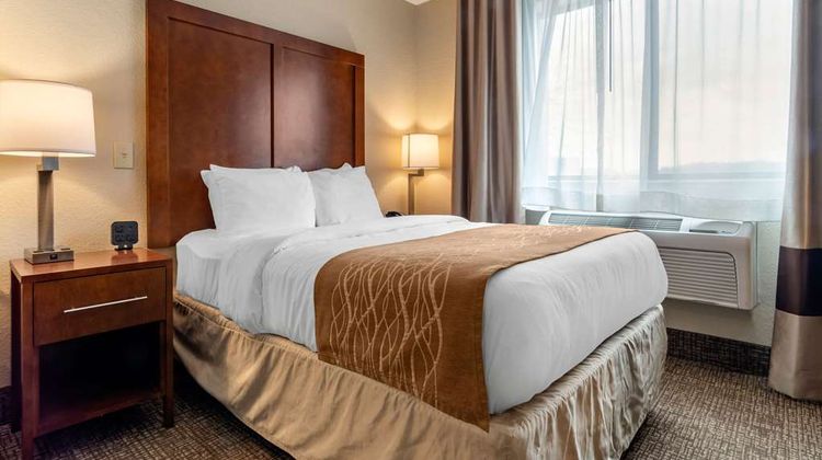 Comfort Inn Room