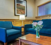Comfort Inn and Suites Lobby