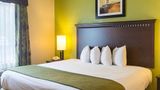 Quality Inn & Suites Suite