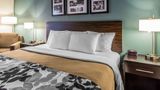 <b>Sleep Inn and Suites Clintwood Room</b>. Images powered by <a href="https://iceportal.shijigroup.com/" title="IcePortal" target="_blank">IcePortal</a>.