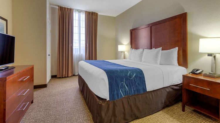 Comfort Suites Fredericksburg South Room