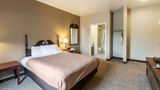 Econo Lodge Inn & Suites Room