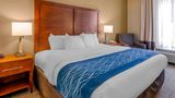 Comfort Inn & Suites Lynchburg Room