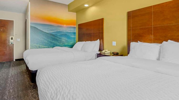 Clarion Pointe Staunton East Room