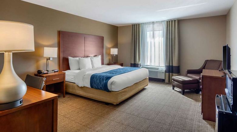 <b>Comfort Inn Colonial Heights Room</b>. Images powered by <a href="https://iceportal.shijigroup.com/" title="IcePortal" target="_blank">IcePortal</a>.