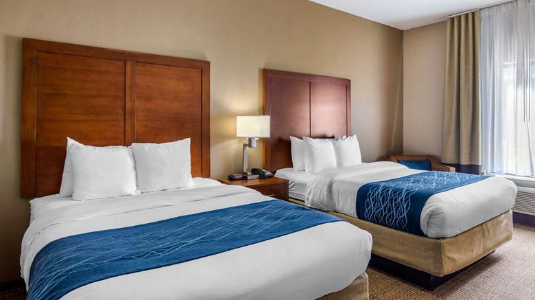 <b>Comfort Inn Colonial Heights Room</b>. Images powered by <a href="https://iceportal.shijigroup.com/" title="IcePortal" target="_blank">IcePortal</a>.