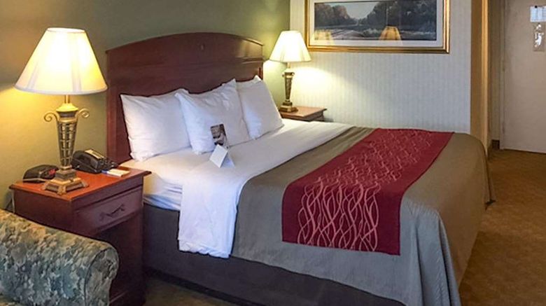 <b>Comfort Inn Springfield Room</b>. Images powered by <a href="https://iceportal.shijigroup.com/" title="IcePortal" target="_blank">IcePortal</a>.