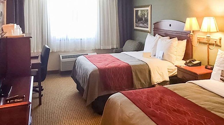 <b>Comfort Inn Springfield Room</b>. Images powered by <a href="https://iceportal.shijigroup.com/" title="IcePortal" target="_blank">IcePortal</a>.
