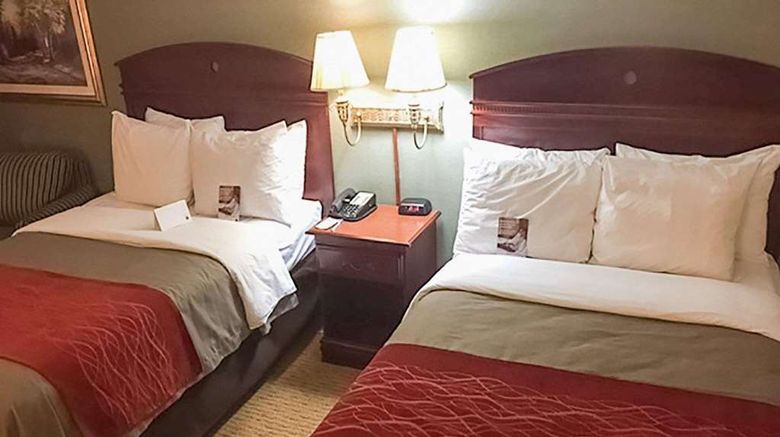 <b>Comfort Inn Springfield Room</b>. Images powered by <a href="https://iceportal.shijigroup.com/" title="IcePortal" target="_blank">IcePortal</a>.
