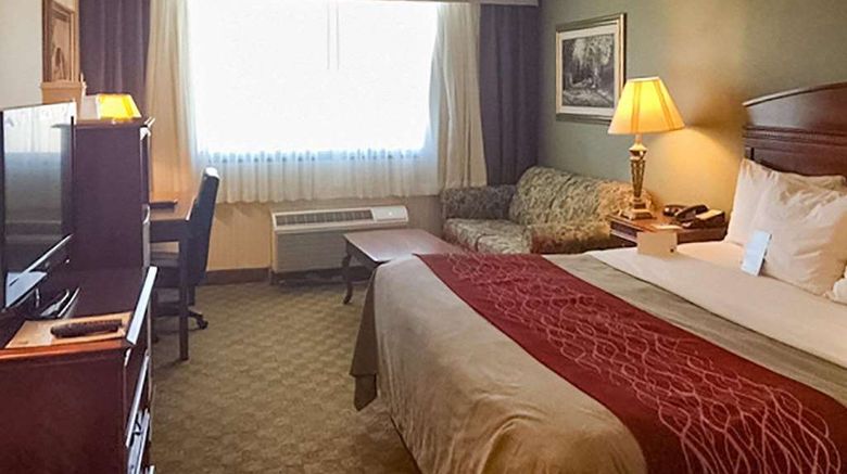 <b>Comfort Inn Springfield Room</b>. Images powered by <a href="https://iceportal.shijigroup.com/" title="IcePortal" target="_blank">IcePortal</a>.