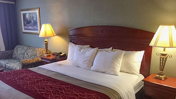 Comfort Inn Springfield Room
