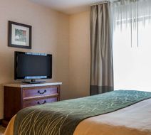 Comfort Inn & Suites South Burlington Room