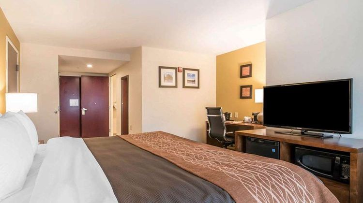 Comfort Inn Room
