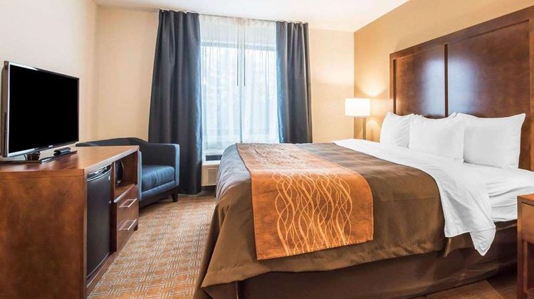Comfort Inn Room