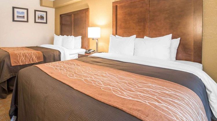 Comfort Inn Room