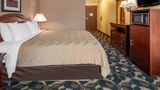 <b>Quality Inn Paradise Creek Room</b>. Images powered by <a href="https://iceportal.shijigroup.com/" title="IcePortal" target="_blank">IcePortal</a>.