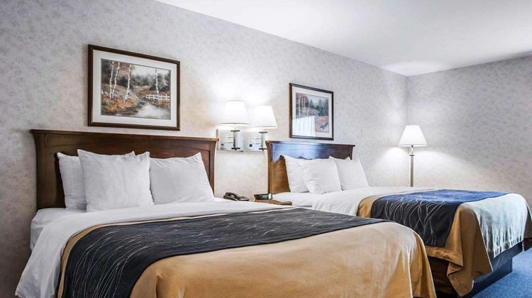 Comfort Inn Room