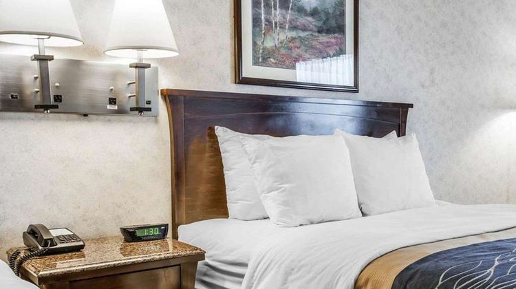 Comfort Inn Room