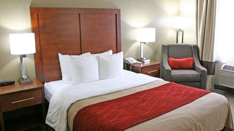 Comfort Inn Room