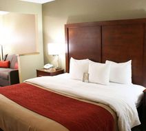 Comfort Inn Room