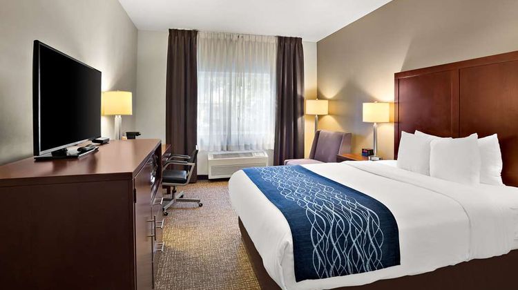 Comfort Inn Room