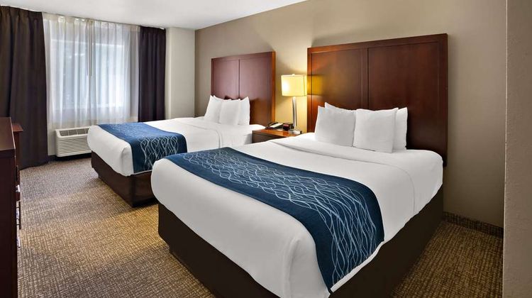 Comfort Inn Room