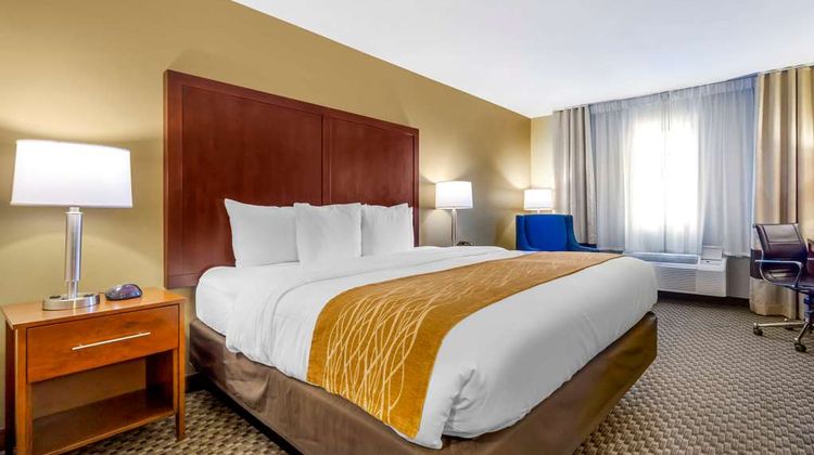 Comfort Inn Room