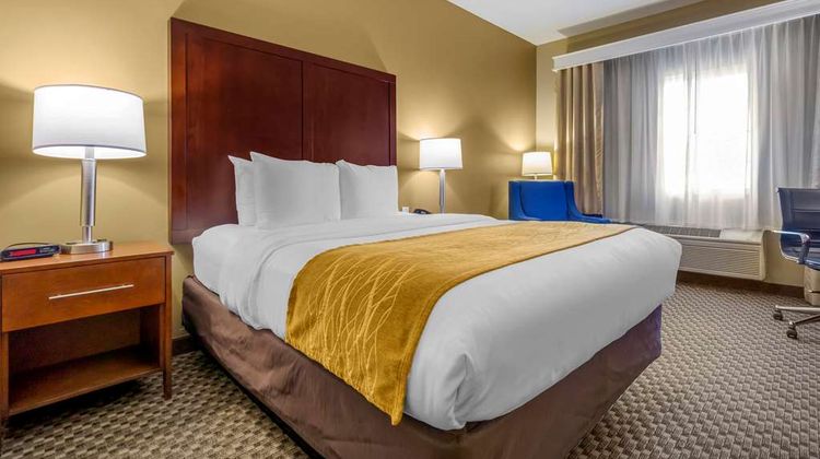 Comfort Inn Room