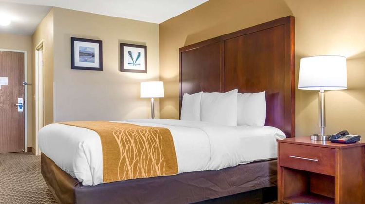 Comfort Inn Room