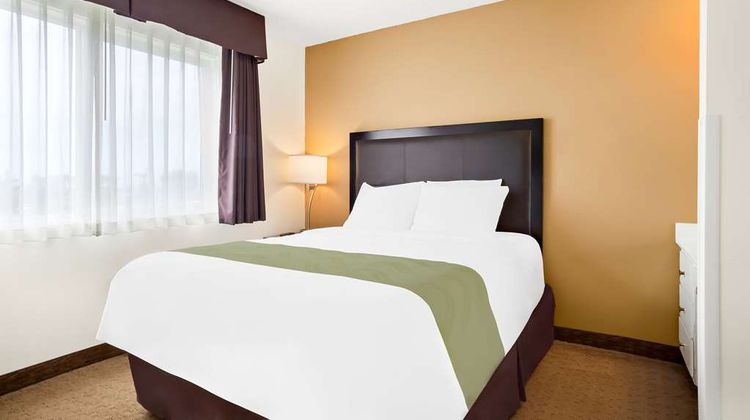 Quality Inn Uptown Room