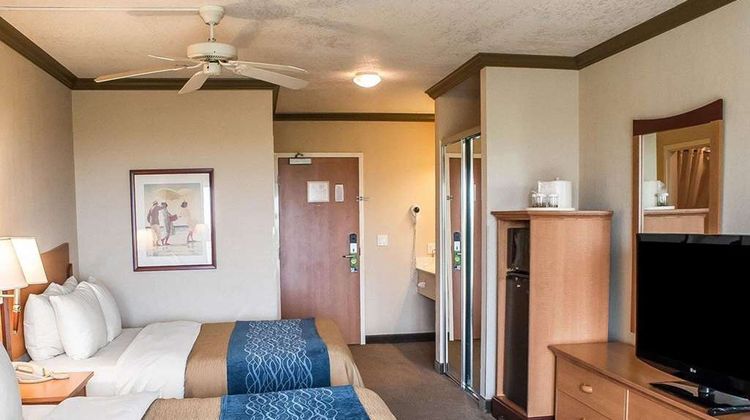 Comfort Inn & Suites Room