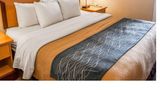 <b>Comfort Inn And Suites Ocean Shores Suite</b>. Images powered by <a href="https://iceportal.shijigroup.com/" title="IcePortal" target="_blank">IcePortal</a>.