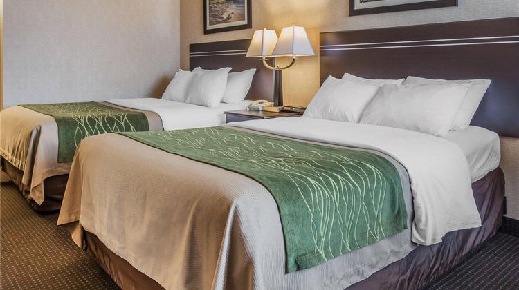 Comfort Inn On the Bay Port Orchard Room