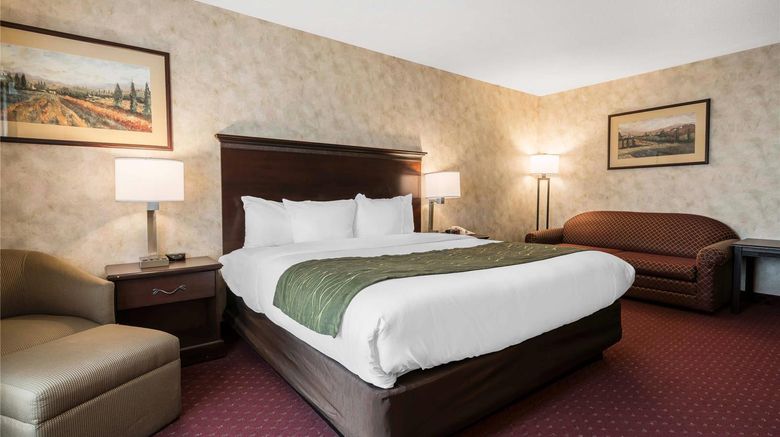<b>Comfort Inn and Suites Walla Walla Room</b>. Images powered by <a href="https://iceportal.shijigroup.com/" title="IcePortal" target="_blank">IcePortal</a>.