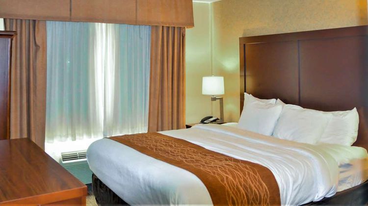 Comfort Inn & Suites Vancouver Room