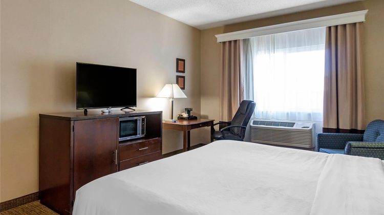 Comfort Inn & Suites Room