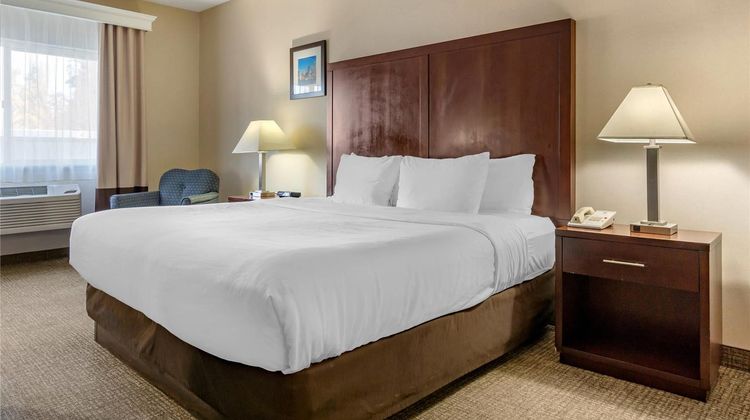 Comfort Inn & Suites Room