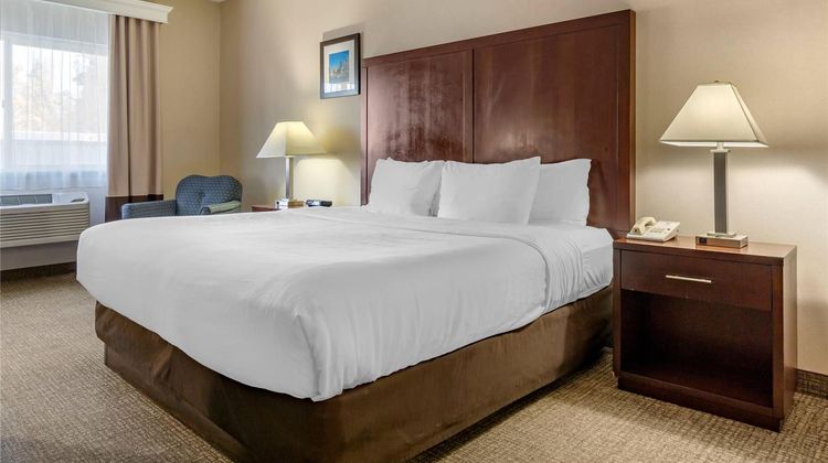 Comfort Inn & Suites Room