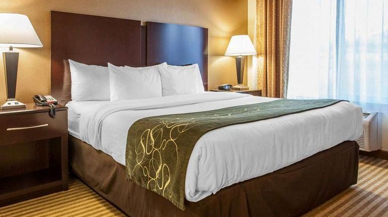 <b>Comfort Suites Wenatchee Room</b>. Images powered by <a href="https://iceportal.shijigroup.com/" title="IcePortal" target="_blank">IcePortal</a>.