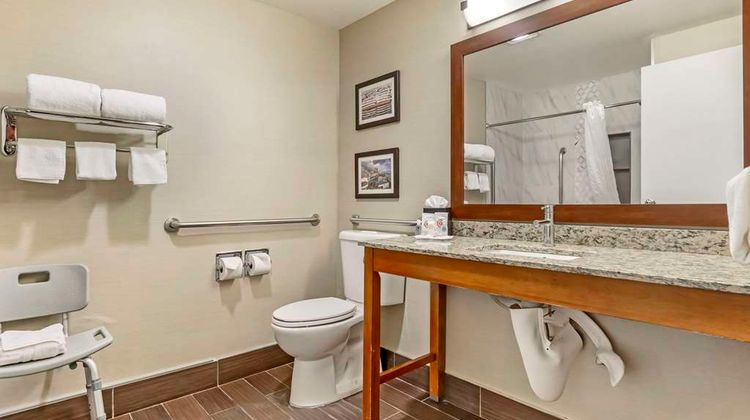 Comfort Inn & Suites SeaTac Room