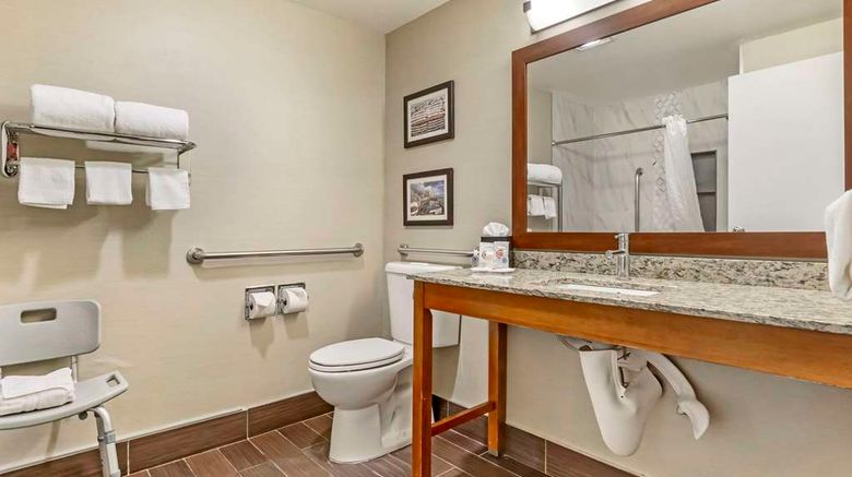 <b>Comfort Inn & Suites SeaTac Room</b>. Images powered by <a href="https://iceportal.shijigroup.com/" title="IcePortal" target="_blank">IcePortal</a>.