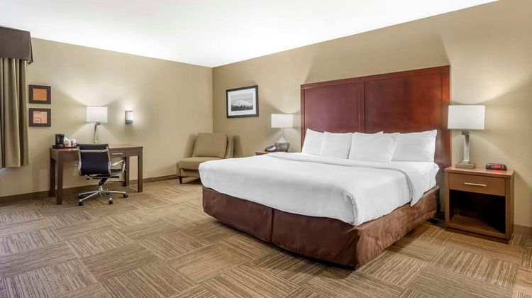Comfort Inn & Suites SeaTac Room