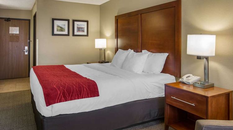 Comfort Inn Colville Room